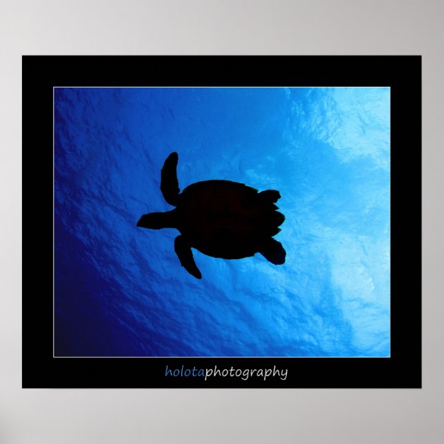 Cozumel - Hawksbill #011 Poster (Framsidan)