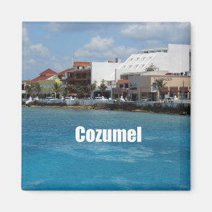 Cozumel Magnet