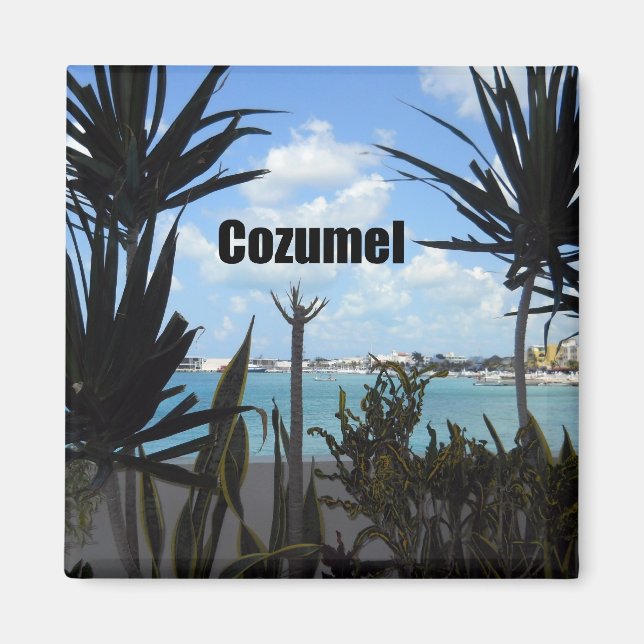 Cozumel Magnet (Framsidan)
