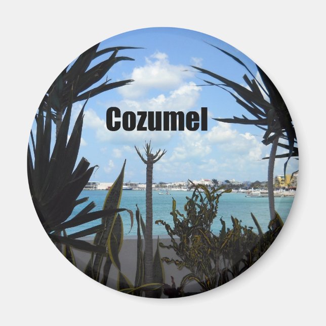 Cozumel Magnet (Framsidan)
