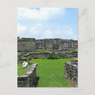 Cozumel Mexico Vykort