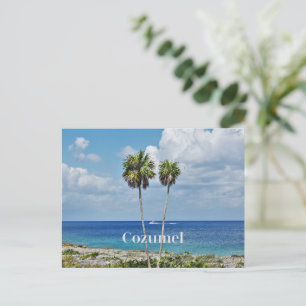 Cozumel, Mexikanska ön Helg Vykort