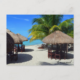 Cozumel Mexiko Beach Hut Handflatan Träd Teal Vatt Vykort