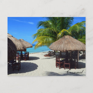 Cozumel Mexiko Beach Hut Handflatan Träd Teal Vatt Vykort