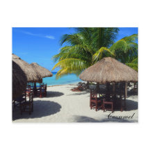 Cozumel Mexiko Beach Hut Handflatan Träd Teal Vatt