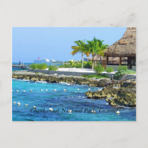 Cozumel Mexiko Chankanaab Park Postcard Vykort
