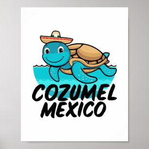 Cozumel Mexiko Havssköldpadda Färgglada Pojkar Fli Poster
