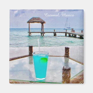 Cozumel Mexiko Magnet