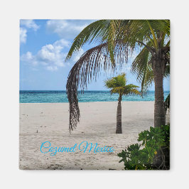 Cozumel Mexiko Magnet