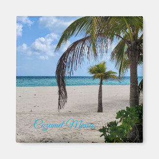 Cozumel Mexiko Magnet