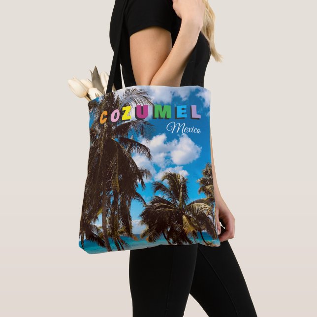 Cozumel Mexiko Tygkasse (Närbild)