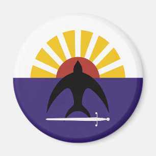 Cozumel Quintana Roo, Mexico, Mexico flagga Magnet