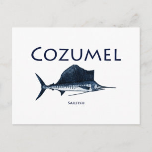 Cozumel Sailfish Vykort