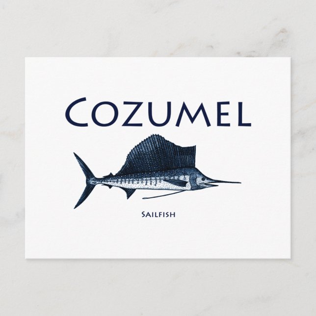 Cozumel Sailfish Vykort (Framsida)