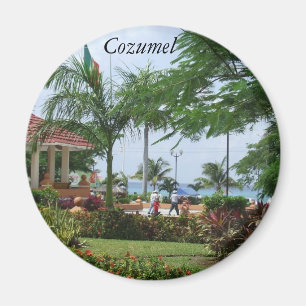Cozumel tropisk palmträd magnet