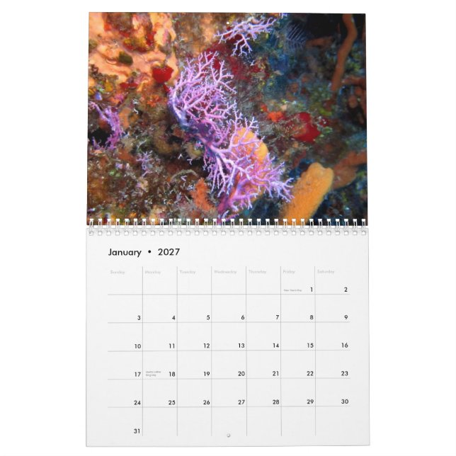 Cozumel undervattens- 2014 kalender (Jan 2027)