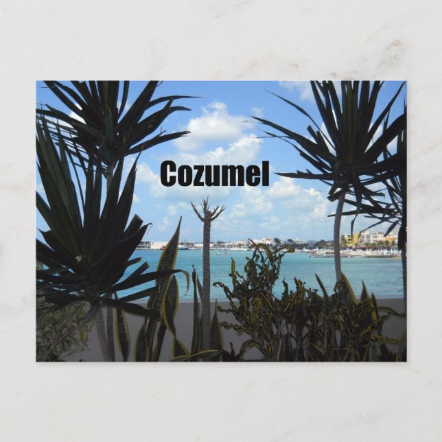 Cozumel Vykort (Framsida)