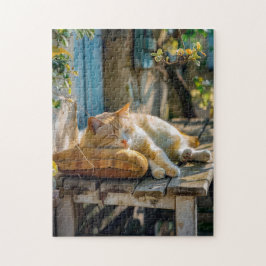 Cozy Cat Sleeping in Garden on Bench Pussel