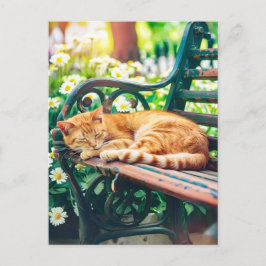 Cozy Cat Sleeping in Garden on Bench Vykort