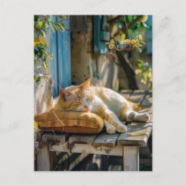 Cozy Cat Sleeping in Garden on Bench Vykort