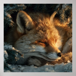 Cozy Fox in Snow Poster