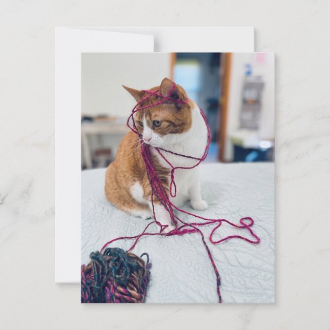 Cozy Orange Tabby Note Cards for Cat Lovers Anteckningskort (Framsida)