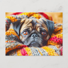 Cozy Pug Wrapped in Knitted Blanket Vykort