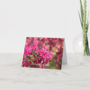 Crab Apple-blommor som du tänker på Kort