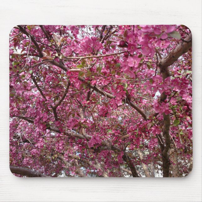 Crab Apple Grove Musmatta (Framsidan)