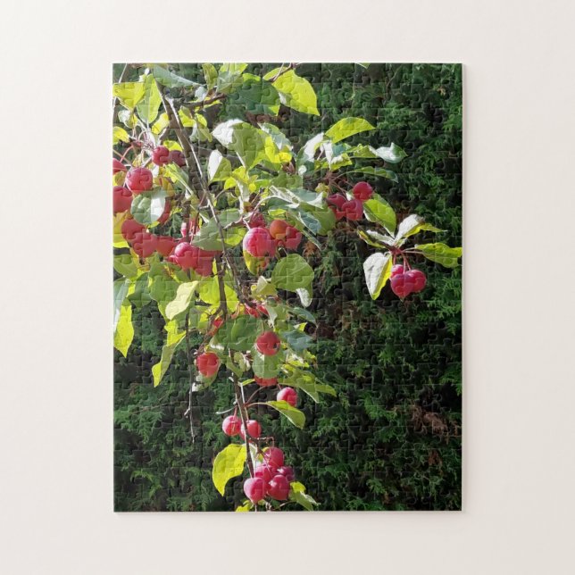 Crab Apples Pussel (Vertikal)