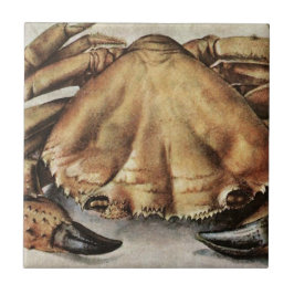 Crab (Creature Under the Sea) (by Albrecht Durer) Kakelplatta