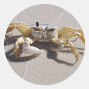 Crab-dekal Runt Klistermärke