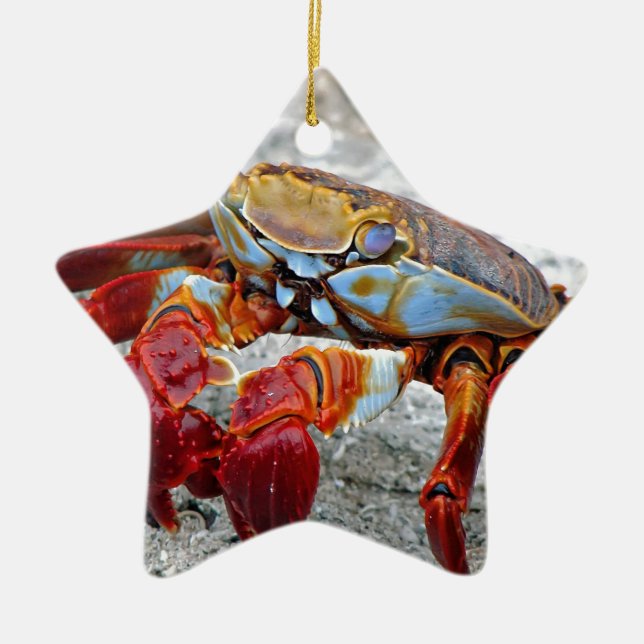 Crab-foto Julgransprydnad Keramik (Framsidan)