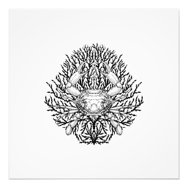 Crab Fototryck (Framsidan)