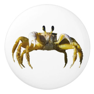 Crab Knopp
