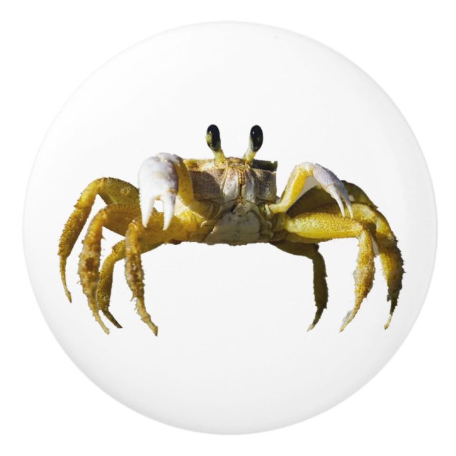 Crab Knopp (Framsidan)