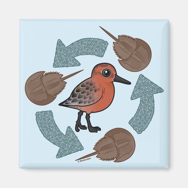 Crab-Knot Cycle Magnet (Framsidan)