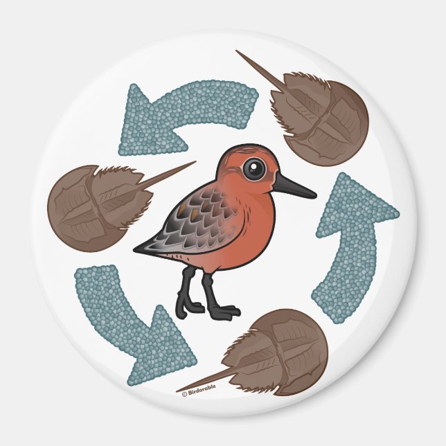 Crab-Knot Cycle Magnet (Framsidan)