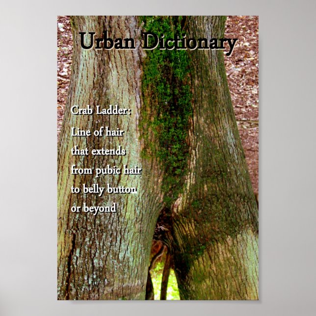 Crab Ladder Poster (Framsidan)