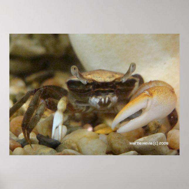 Crab Louis Poster (Framsidan)