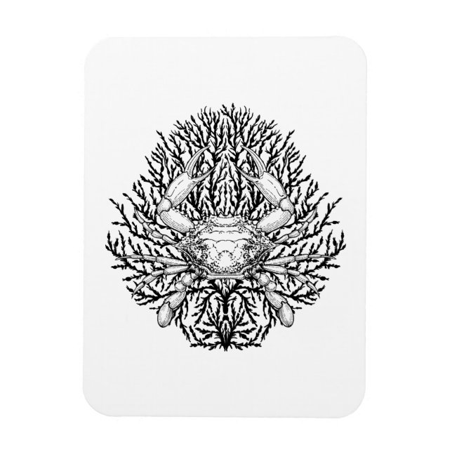 Crab Magnet (Vertikal)