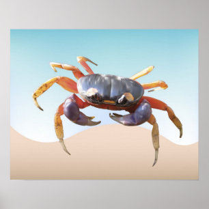 Crab på Beach Poster