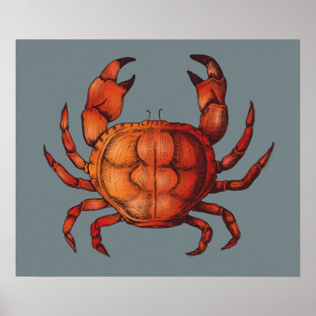 Crab Poster (Framsidan)