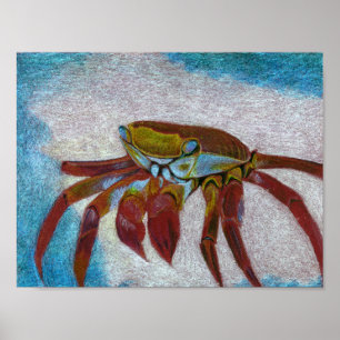 Crab Poster
