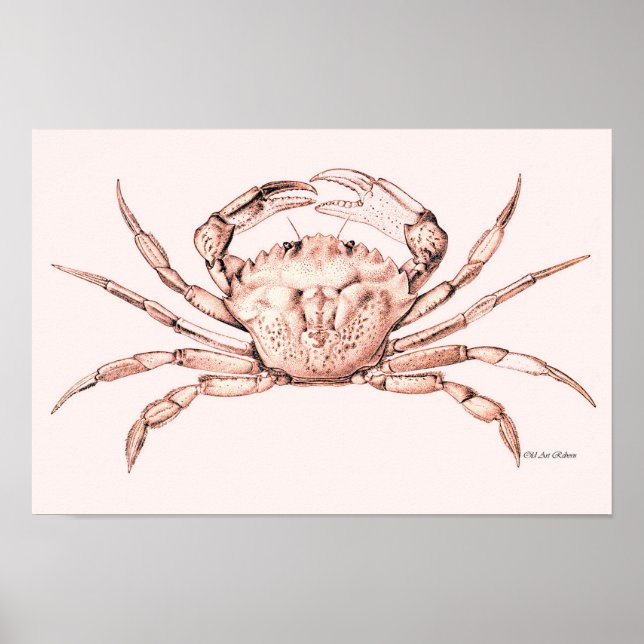 Crab Poster ~ Grönt Crab (Framsidan)