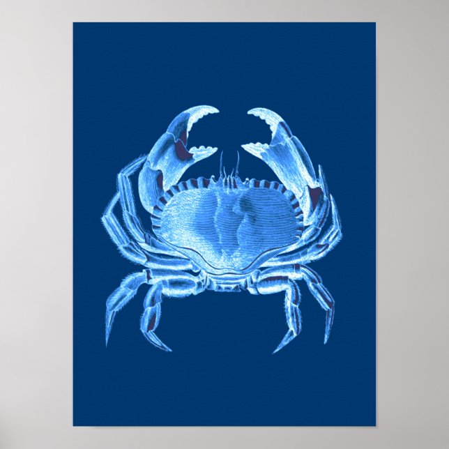 Crab Sea Life Print, Indigo Blue and White Poster (Framsidan)