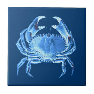 Crab Sea Life Print, Indigo Blue och White Kakelplatta