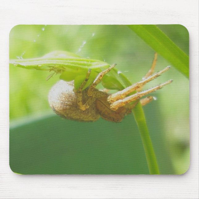Crab Spider Thomisid Mousepad Musmatta (Framsidan)