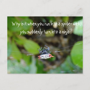 Crab Spider-vykort / Funny Ninja-citat Vykort