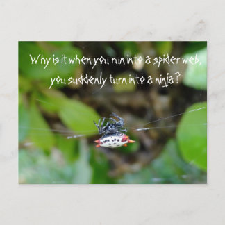 Crab Spider-vykort / Funny Ninja-citat Vykort